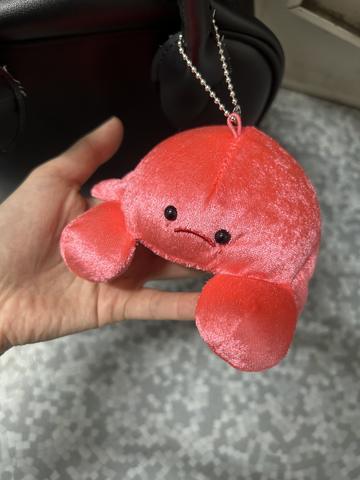 新入り