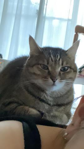 こんにちは