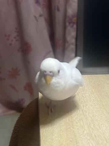 こんにちは