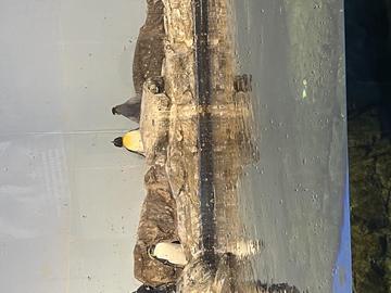 こんにちは