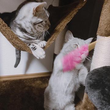 こんにちは