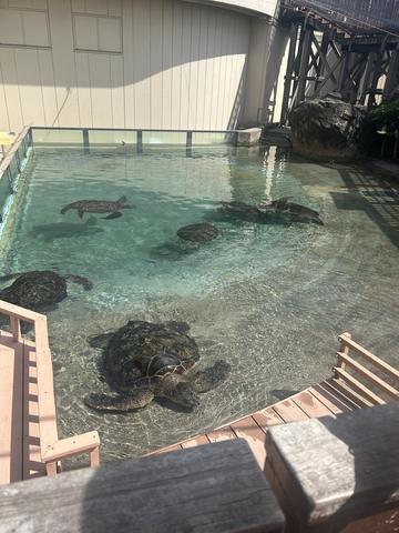 こんにちは