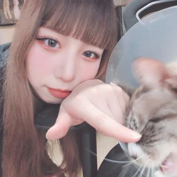 🐱