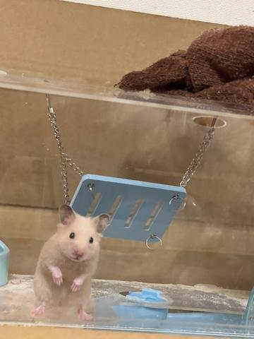 しゅっきーん♪