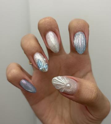 🐚‎