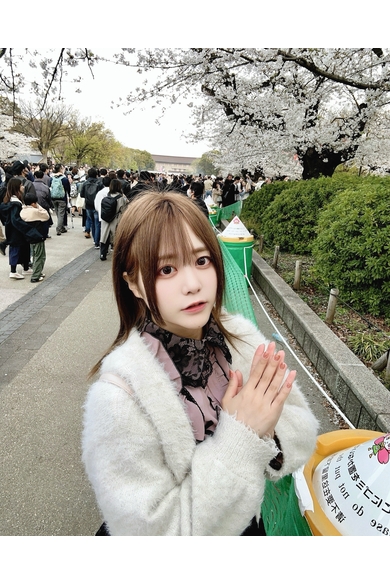 YOKOHAMA ELDORADOのせいな