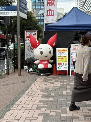 献血ちゃん