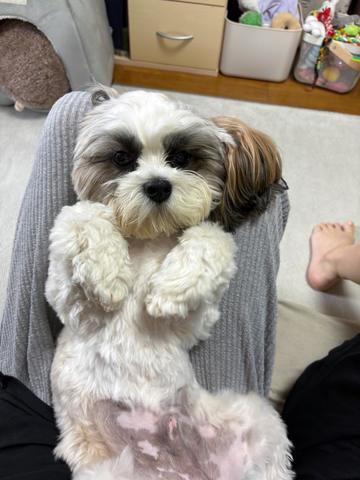 ♡
