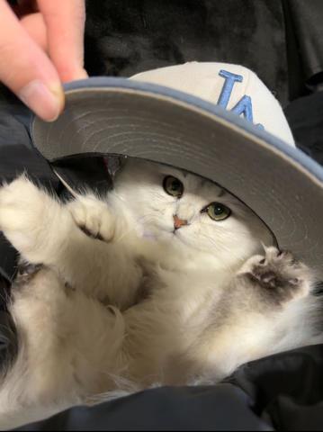 こんにちは