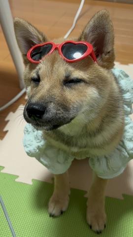 こんにちは