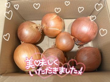 たまねぎ