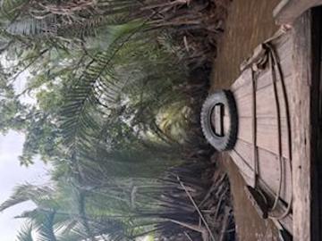 ベトナムのメコン川