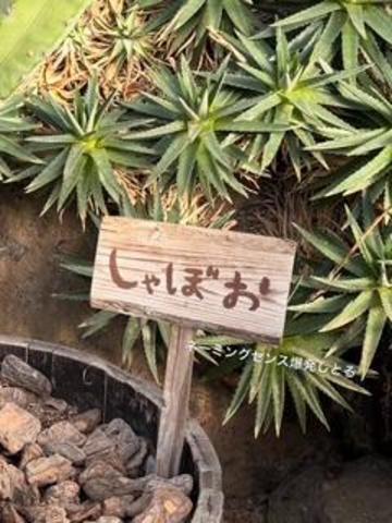 こんにちは