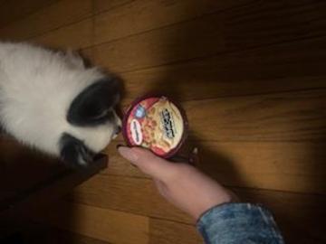 花粉はつらいよ(  ˙-˙  )