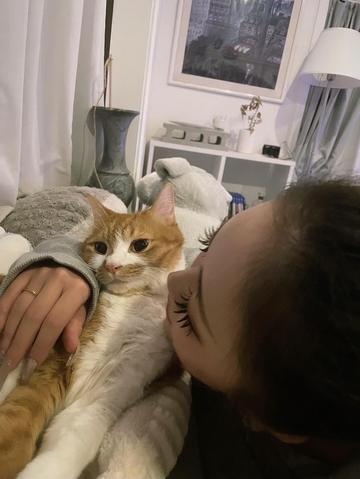 ねこにやられた🫩