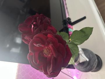 華金❕💖🫶🏻