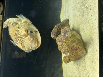こんにちは