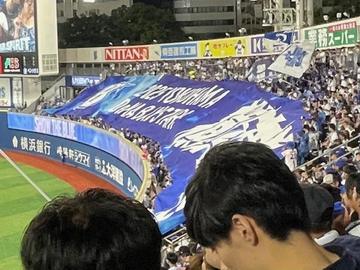 野球観戦⚾️