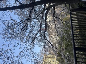 こんばんは〜🌙🩵