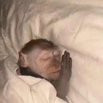 日本人寝すぎ🇯🇵💤
