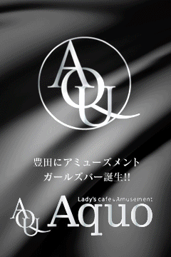Lady S Cafe Amusement Aquo 豊田 ガールズバー ナイツネット